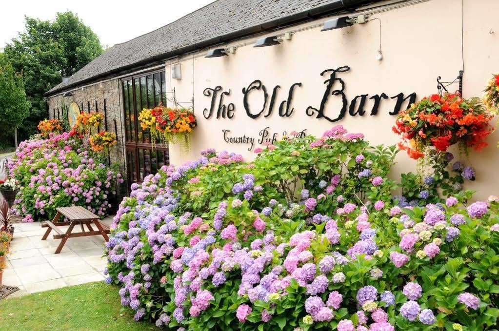 The Old Barn Inn Newport  Zewnętrze zdjęcie